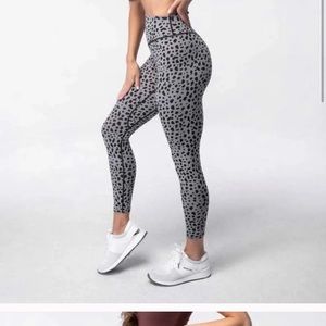 Kingdom collection snow leopard 2.0